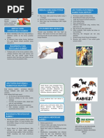 Leaflet Rabies