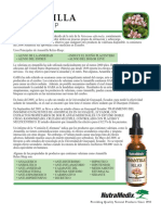 Amantilla Spanishflyer PDF