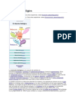 Teoria Evolucion