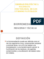 biorremediacin-121029162333-phpapp02