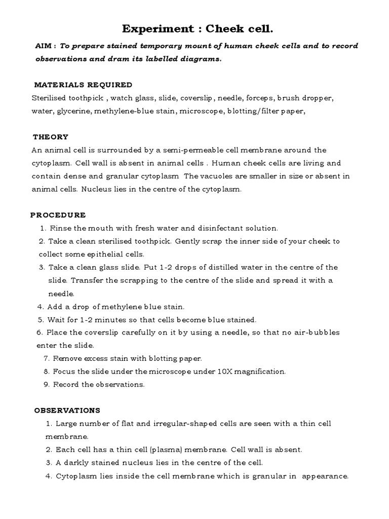 Cheek | PDF | Staining | Cell (Biology)