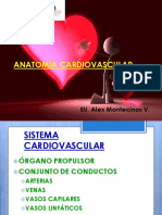 Anato Fisio Ecg