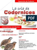 presentaciondecodorniz-110618214052-phpapp01