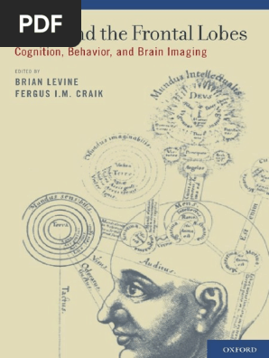 Download Brian Levine Mind And The Frontal Lobes 2011 A Pdf Frontal Lobe Prefrontal Cortex PSD Mockup Templates