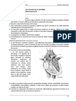 UT V Estructura y Procesos Vitales en El Hombre - Aparato Cardiovascular - 2016