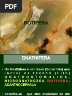 21 Apresentação Rotifera