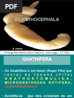 22 Apresentação Acanthocephala