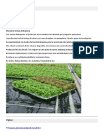 Cultivo de Lechugs Hidroponicas en Invernadero PDF