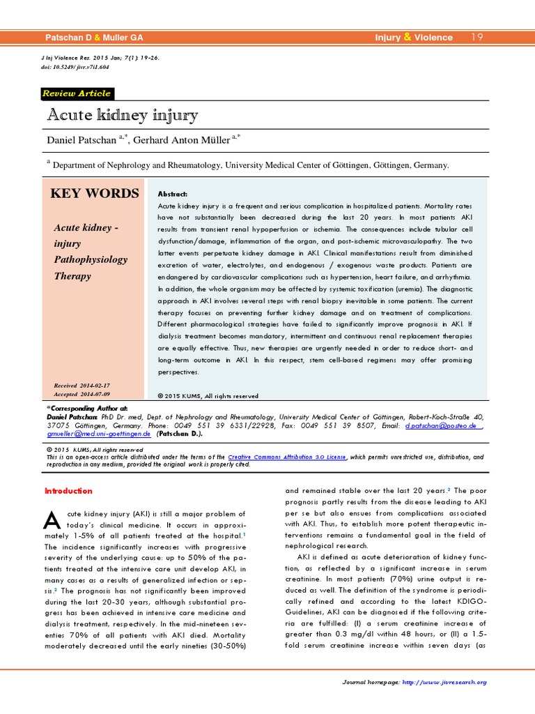 ACUTE KIDNEY INJURY GUIDELINES 2022 PDF visual data 4