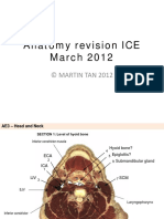 Anatomy Revision