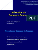 06 - Músc. Da Cabeça e Pescoço PDF