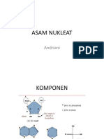 Asam Nukleat 2