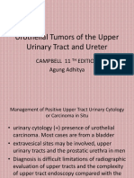 Urothelial Tumors of The Upper Urinary Tract Fix