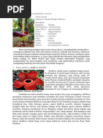 Tiga Bunga Nasional Indonesia | PDF