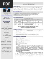 Professional Strength: Curriculum Vitae