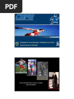 Aula Ajustes Respiratorios Exercicio