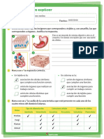 Edited Edited Taller+de+quinto