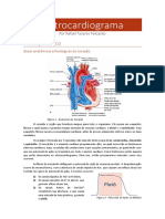 Introdução Ao ECG