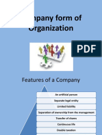 Company Form of Organization