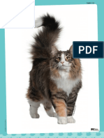 flashcards_pets.pdf