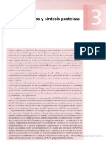 Acidos Nucleicos y Sintesis Proteicas