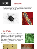 61161351 Glosario de Cosmetologia