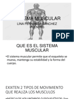 2 Exposicion Del Sistema Muscular