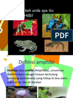 Amphibi, PPT