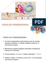 Fisiologi Pendengaran