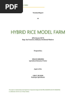 2017 - Terminal Report Hybrid Model Farm