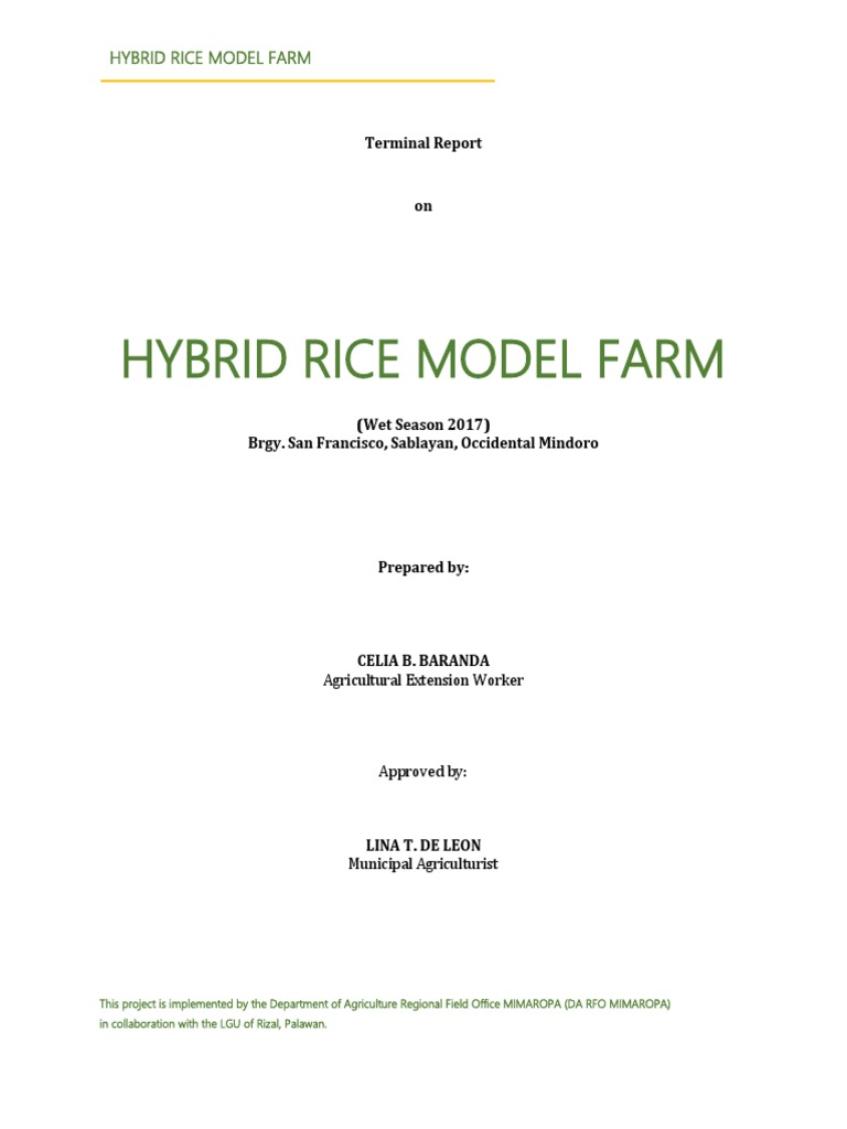 Hybrid Rice Model Farm Report 2017 | PDF | Rice | Agriculture