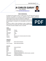 CV Juan Carlos Garay - Dibujante