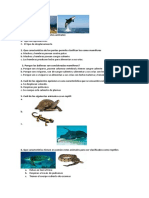 Prueba Invertebrados y Vertebrados 2