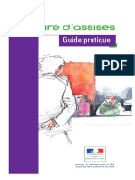 Le Guide Du Juré D'assises