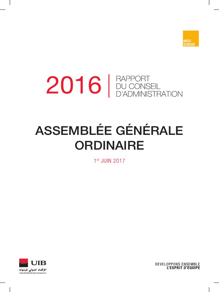 Uib Rapport Ago 2017 Pdf Banques Inflation