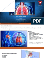 Actividad 5. Anatomía Del Sistema Respiratorio..