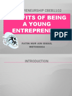 Entrepreneurship Cbeb1102: Benefits of Being A Young Entrepreneur