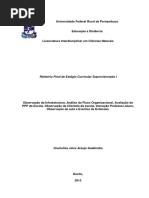 relatorio final GRACIELMA.docx