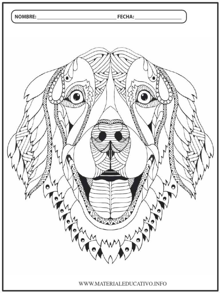 mandalas-de-animales-para-colorear-pdf-pdf-inform-tica-y-tecnolog-a-de-la-informaci-n