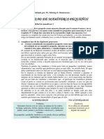 Mamiferos Pequenos PDF