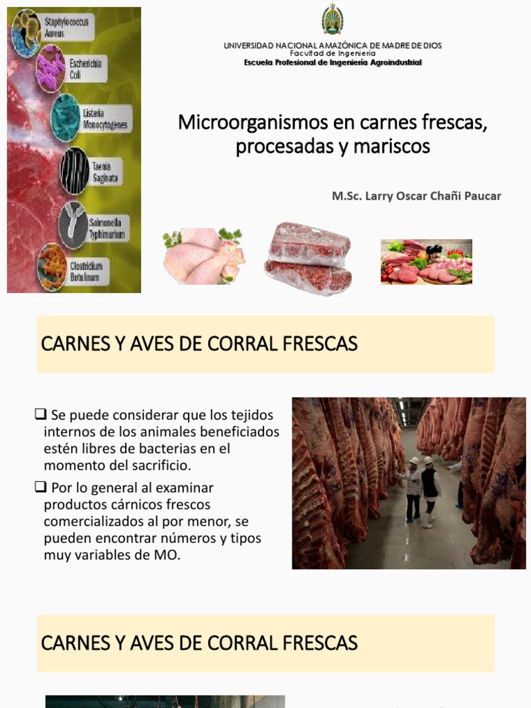Microorganismos en carnes y mariscos | PDF | Carne | Las bacterias