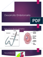 desarrrollo embrionario