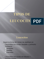 Tipos de Leucocitos