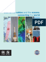ICPC-UNEP_Report.pdf