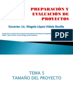 TEMA 5 Tamaño-1.pptx