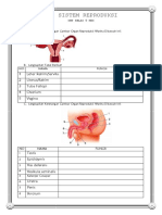 Lks Sistem Reproduksi