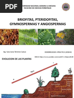 HOST | PDF | Incesto | Parafilias