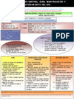 P 13 PDF