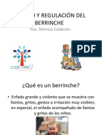 Manejo y Regulación Del Berrinche