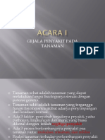 ACARA I Perlitan